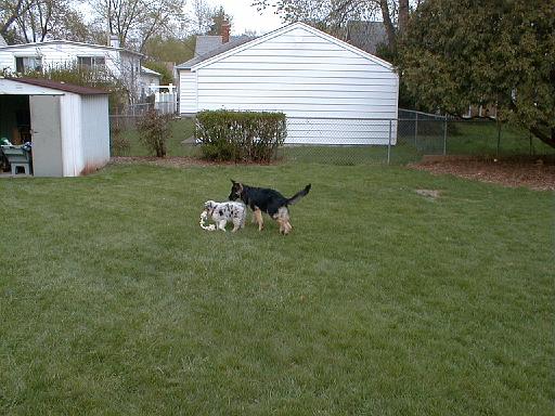 2003-00-00.reisa-sidnee.playing.rope.1.redford.mi.us 