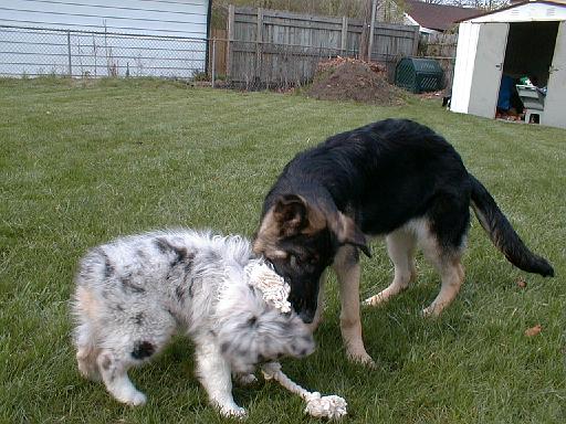2003-00-00.reisa-sidnee.playing.rope.3.redford.mi.us 