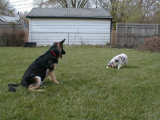 2003-00-00.reisa-sidnee.playing.rope.4.redford.mi.us 