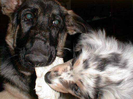 2003-00-00.reisa-sidnee.sharing.chew.1.fav.redford.mi.us 