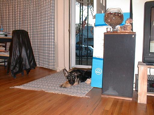 2003-00-00.reisa.chew.1.redford.mi.us 