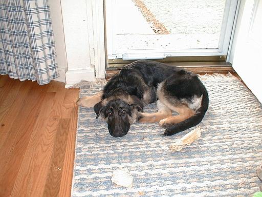 2003-00-00.reisa.lying_down.1.redford.mi.us 