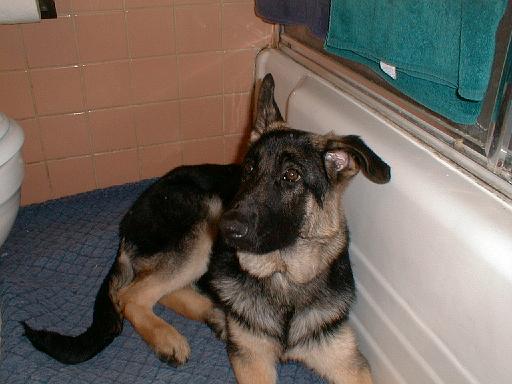 2003-00-00.reisa.lying_down.3.redford.mi.us 
