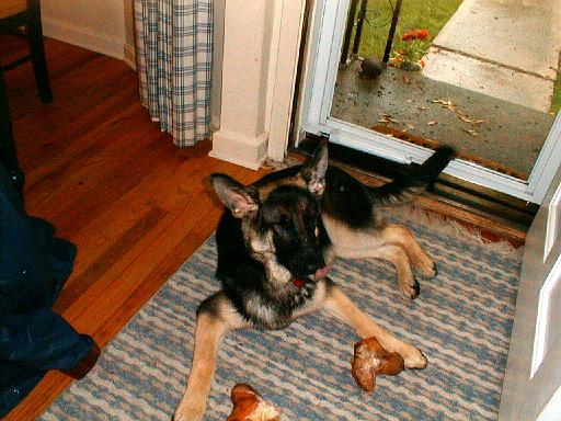 2003-00-00.reisa.lying_down.7.redford.mi.us 