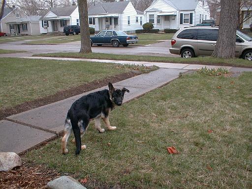 2003-00-00.reisa.outside.1.redford.mi.us 