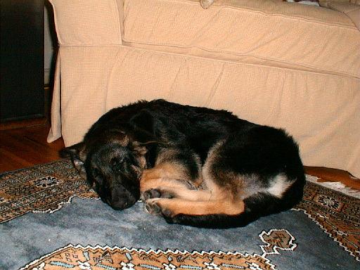 2003-00-00.reisa.sleeping.1.redford.mi.us 