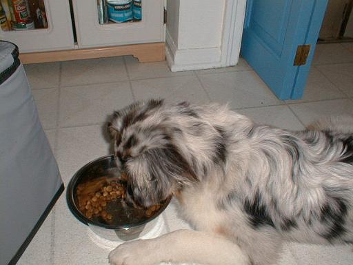 2003-00-00.sidnee.eating.2.redford.mi.us 