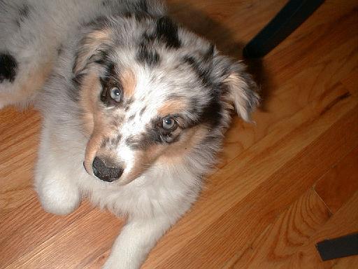 2003-00-00.sidnee.lying_down.02.redford.mi.us 