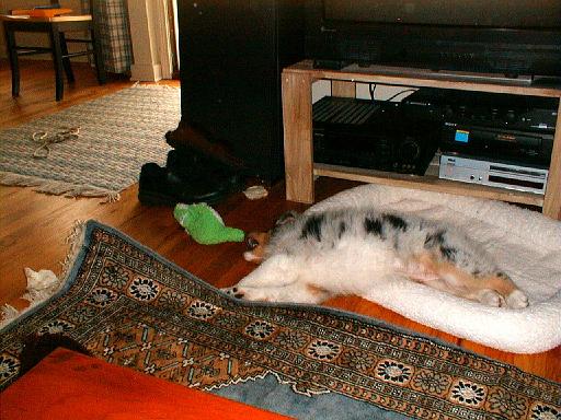 2003-00-00.sidnee.lying_down.06.redford.mi.us 