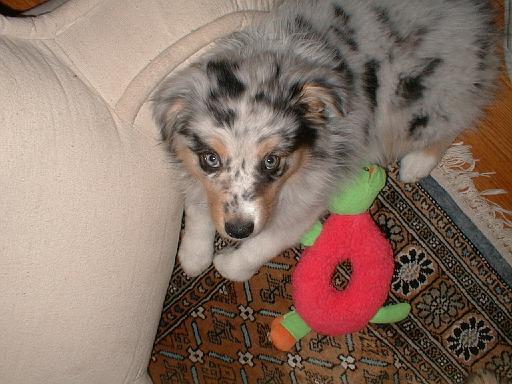 2003-00-00.sidnee.lying_down.08.fav.redford.mi.us 