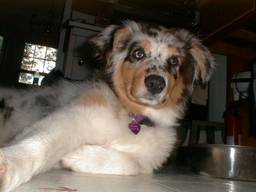 2003-00-00.sidnee.lying_down.09.redford.mi.us 