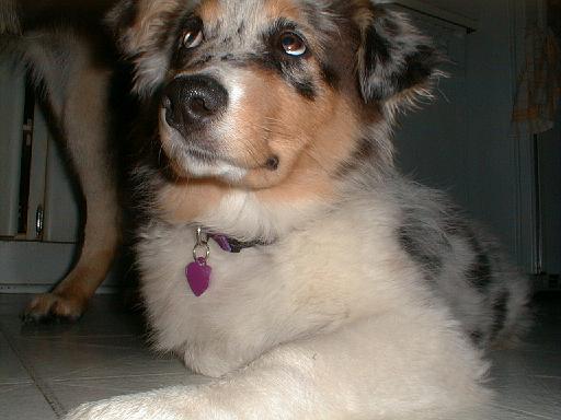 2003-00-00.sidnee.lying_down.10.redford.mi.us 