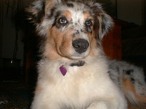 2003-00-00.sidnee.lying_down.11.redford.mi.us 