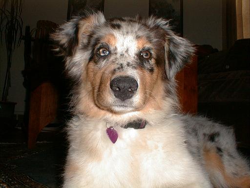 2003-00-00.sidnee.lying_down.12.redford.mi.us 