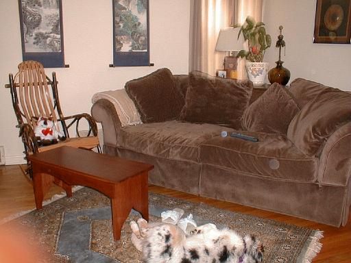 2003-00-00.sidnee.lying_down.15.redford.mi.us 