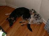 2003-00-00.reisa-sidnee.lying_down.4.redford.mi.us.jpg