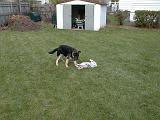 2003-00-00.reisa-sidnee.playing.01.redford.mi.us.jpg