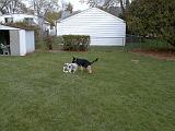 2003-00-00.reisa-sidnee.playing.rope.1.redford.mi.us.jpg