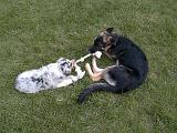 2003-00-00.reisa-sidnee.playing.rope.2.fav.redford.mi.us.jpg