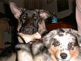 2003-00-00.reisa-sidnee.sharing.chew.2.fav.redford.mi.us.jpg
