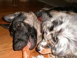 2003-00-00.reisa-sidnee.sharing.chew.3.redford.mi.us.jpg