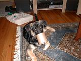2003-00-00.reisa.cardboard.roll.1.fav.redford.mi.us.jpg