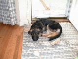 2003-00-00.reisa.lying_down.1.redford.mi.us.jpg