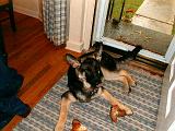 2003-00-00.reisa.lying_down.7.redford.mi.us.jpg