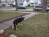 2003-00-00.reisa.outside.1.redford.mi.us.jpg