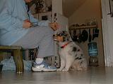 2003-00-00.sidnee.sitting.2.redford.mi.us.jpg