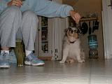 2003-00-00.sidnee.sitting.3.redford.mi.us.jpg