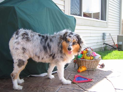 2006-06-04.sidnee.1.livonia.mi.us 