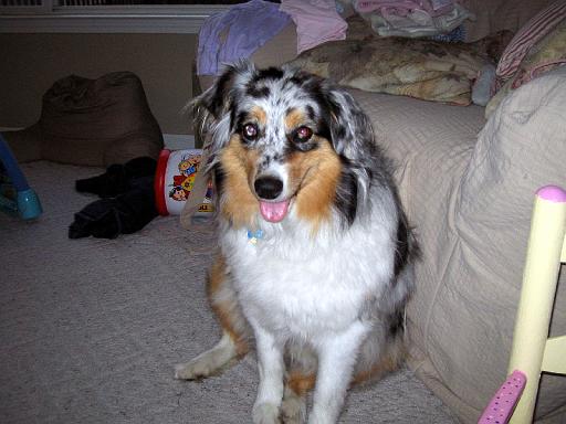 2006-08-10.sidnee.2.livonia.mi.us 