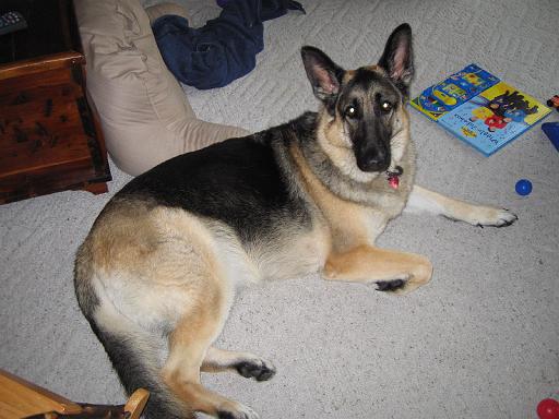 2006-09-23.reisa.4.livonia.mi.us 