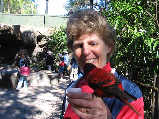 2004-12-27.aviary.sandy-snyder.1.busch_gardens.tampa.fl.us 