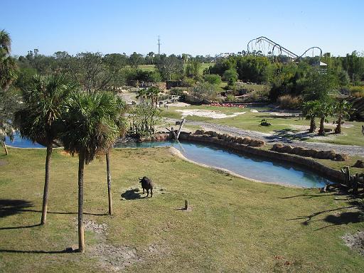 2004-12-27.safari_area.3.busch_gardens.tampa.fl.us 