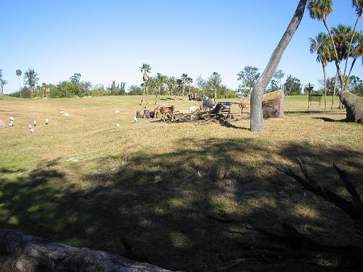 2004-12-27.safari_area.6.busch_gardens.tampa.fl.us 