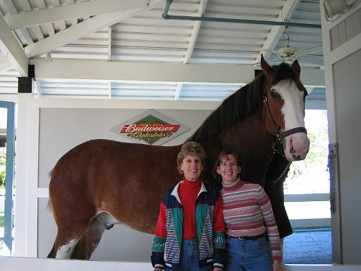 2004-12-27.stable.sandy-nancy-snyder.1.busch_gardens.tampa.fl.us 