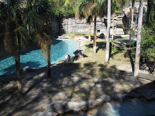 2004-12-27.tiger.bengal.1.busch_gardens.tampa.fl.us 