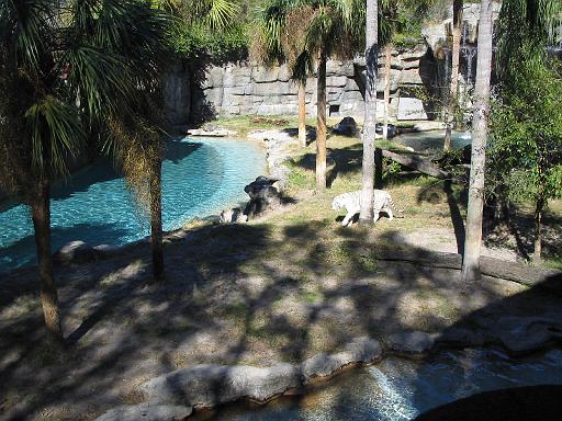 2004-12-27.tiger.bengal.2.busch_gardens.tampa.fl.us 