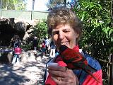 2004-12-27.aviary.sandy-snyder.1.busch_gardens.tampa.fl.us.jpg