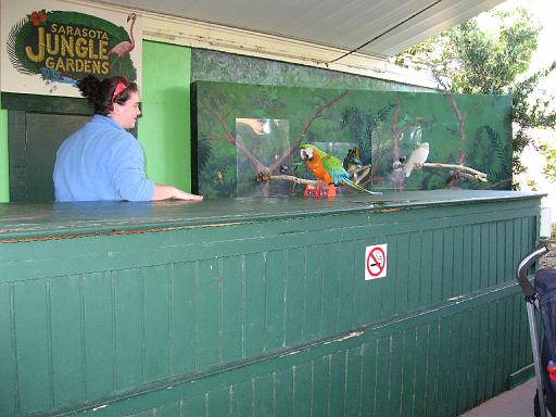 2006-12-27.bird_show.bird.2.jungle_gardens.sarasota.fl.us 