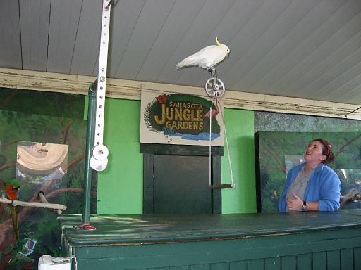 2006-12-27.bird_show.bird.4.jungle_gardens.sarasota.fl.us 