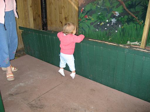 2006-12-27.bird_show.seren-snyder.2.jungle_gardens.sarasota.fl.us 