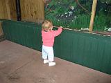 2006-12-27.bird_show.seren-snyder.1.jungle_gardens.sarasota.fl.us.jpg