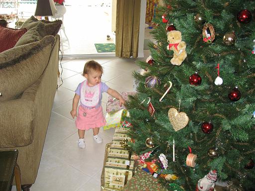 2006-12-24.interesting.ornaments.seren-snyder.2.venice.fl.us 