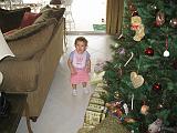 2006-12-24.interesting.ornaments.seren-snyder.1.venice.fl.us.jpg