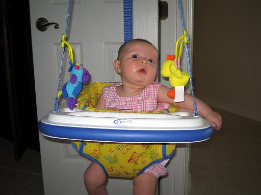 2006-03-04.bouncer.seren-snyder.1.venice.fl.us 