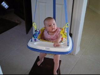 2006-03-04.bouncer.seren-snyder.1.video.320x240-9.5meg.venice.fl.us 