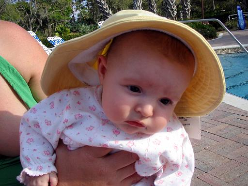 2006-03-06.pool.saffron-seren-snyder.4.venice.fl.us 